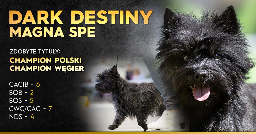 Dark Destiny Magna Spe
