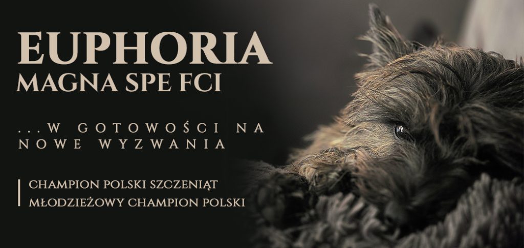 Euphoria Magna Spe
