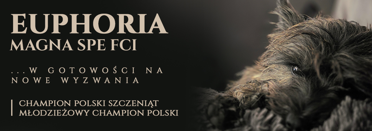 Euphoria Magna Spe